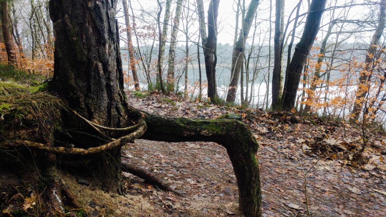Martas Gaestehaeuser Gross Vaeter See Templin Bagian luar foto